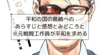 平和の国の島崎へのあらすじと感想とみどころと※元戦闘工作員が平和を求める
