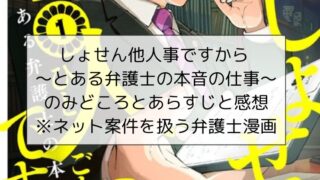 しょせん他人事ですから ～とある弁護士の本音の仕事～のみどころとあらすじと感想と※ネット案件を扱うリアル弁護士漫画